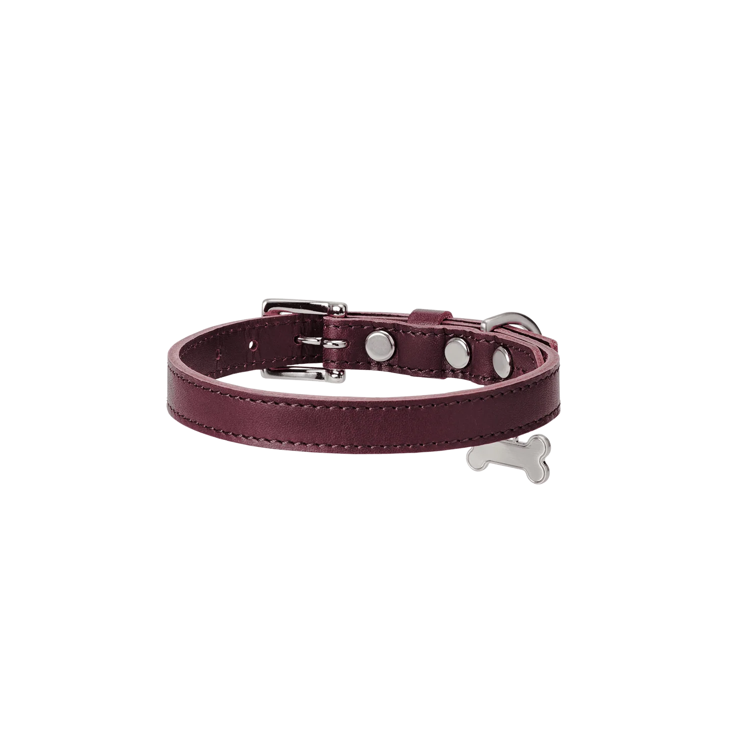 【数量限定色】ホームコレクション ペットカラー (首輪) - Image 5