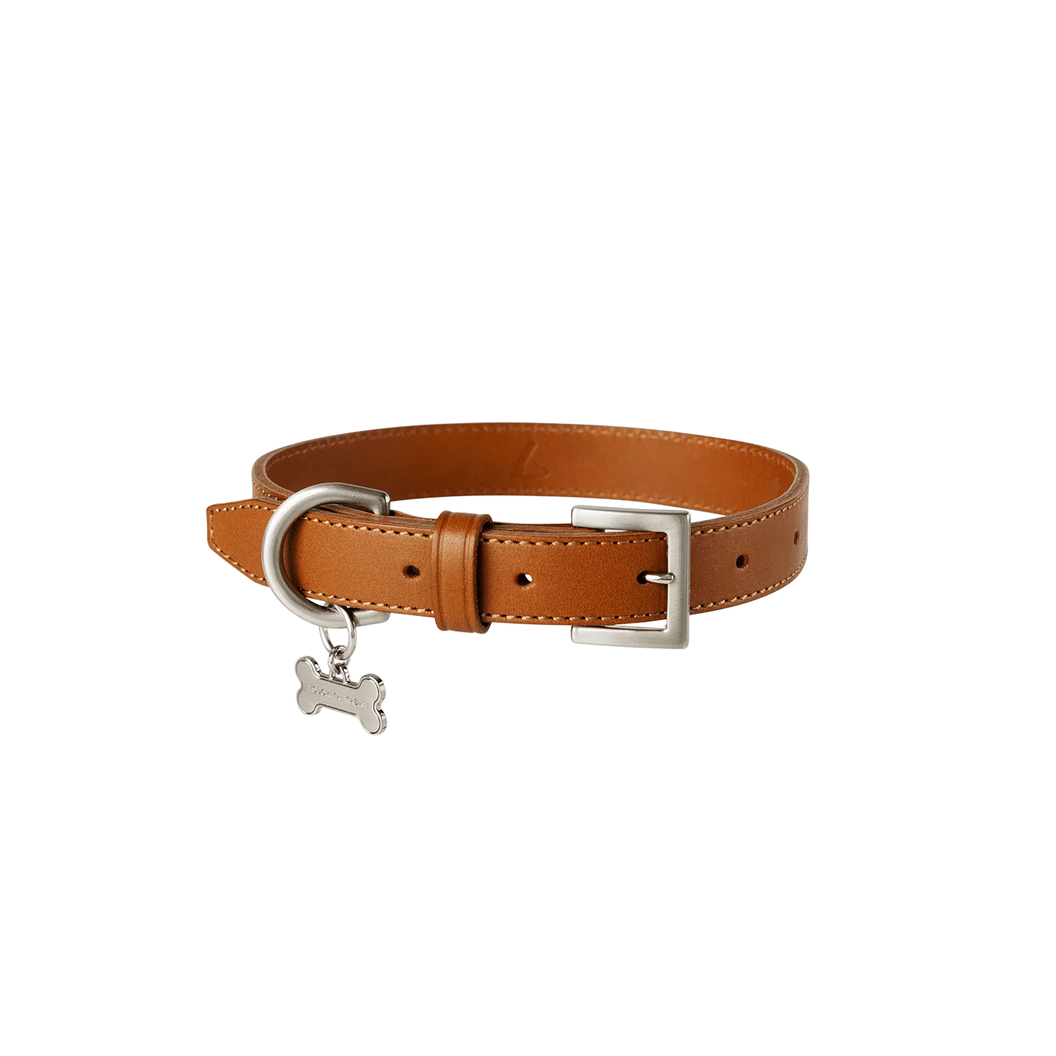 【数量限定色】ホームコレクション ペットカラー (首輪) - Image 8