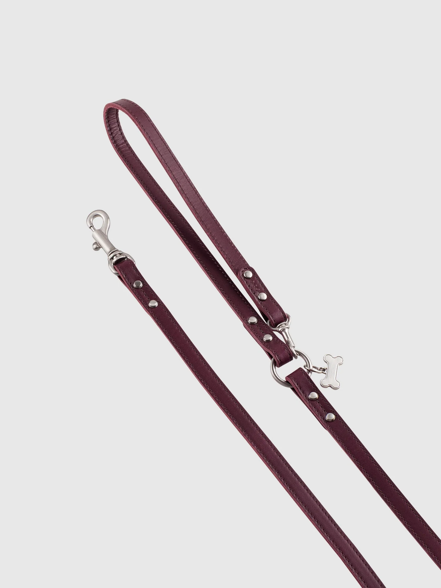 【数量限定色】ホームコレクション ペットリード - Image 6