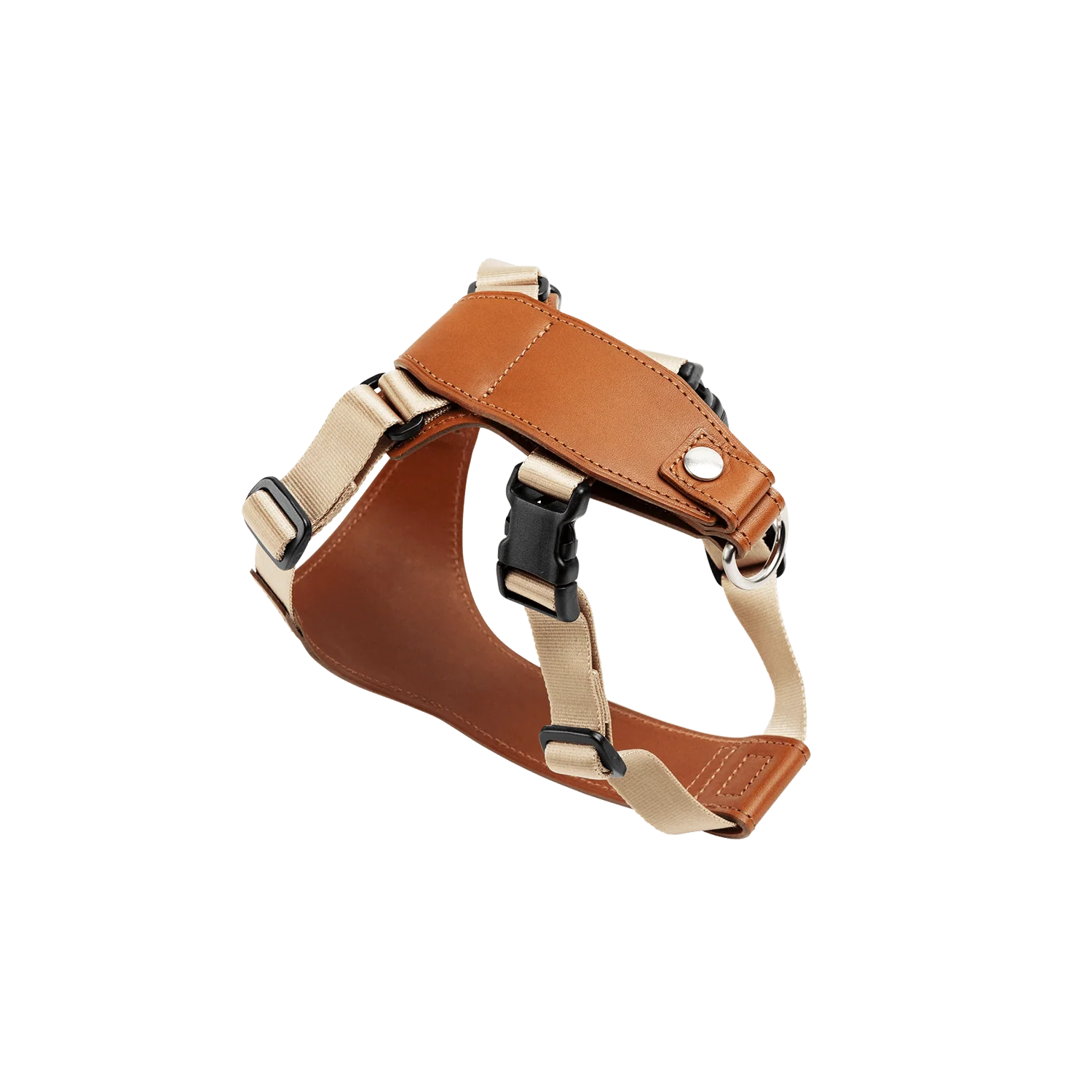 【数量限定色】ホームコレクション ペットランドセル - Image 15